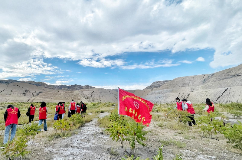 【寧夏日報(bào)】石嘴山市：改革破題探路 山林添綠增金